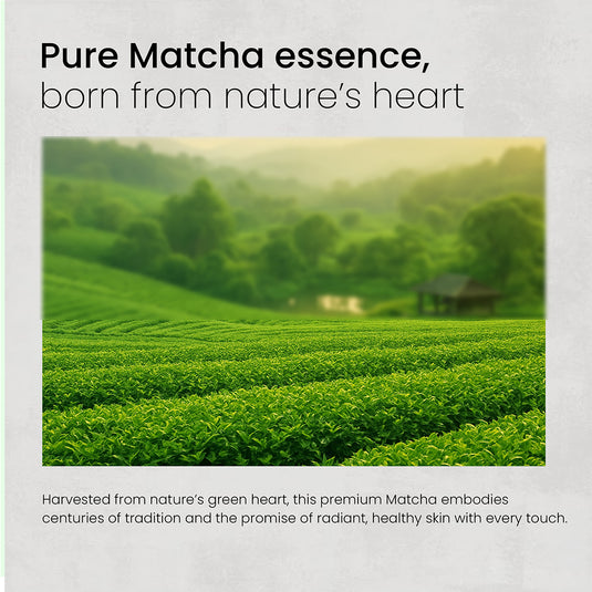 Shryoan Super Matcha Pore Tightening Face Serum