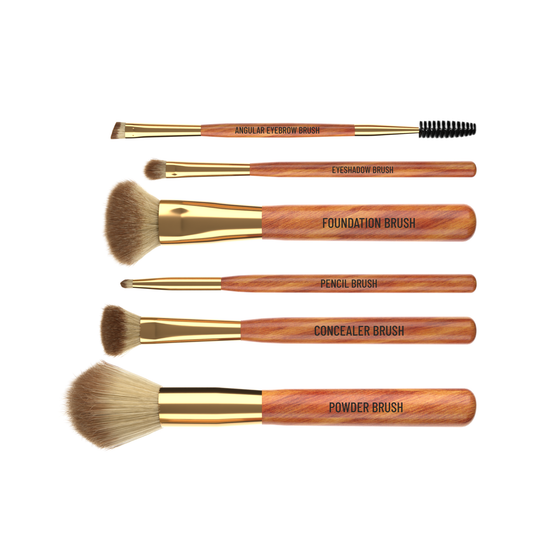 Shryoan Professional Makeup Brush Set (6 Pieces)